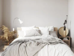 Fischer & Honsel 2 In 1 Leselampe & Bettleuchte LOLLAND Weiß Mit Kabel & Stecker -Heimbeleuchtung Angebote 2 in 1 leselampe bettleuchte lolland weiss mit kab 5