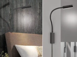 Fischer & Honsel 2in1 LED Wandleuchte & Bettleuchte RAIK Dimmbar, Schwanenhals Leseleuchte