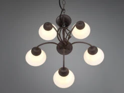 Trio Leuchten 5-flammiger Kronleuchter RUSTICA Landhausstil In Rostoptik Mit Glasschirmen -Heimbeleuchtung Angebote 5 flammiger kronleuchter rustica landhausstil in r 5