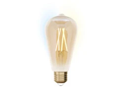 ECO-LIGHT E27 Filament LED Leuchtmittel - 9 Watt, 806 Lumen, 2200 - 5500K, Ø6,4cm Dimmbar