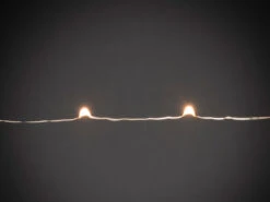 Konstsmide Hängende LED Christbaum Lichterkette 180 Bernsteinfarbene LED´s - "Baummantel" 10 Konstsmide Hängende LED Christbaum Lichterkette 180 Bernsteinfarbene LED´s - "Baummantel" -Heimbeleuchtung Angebote haengende led christbaum lichterkette 180 bernstei 3