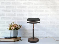 Trio Leuchten Kleine LED Tischleuchte FRANKLIN Rund Höhe 25cm, Anthrazit -Heimbeleuchtung Angebote kleine led tischleuchte franklin rund hoehe 25cm a 2