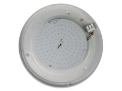 Niermann LED-Deckenleuchte Rund, Opalglas Matt, Dekorring Altmessing, Ø 25cm -Heimbeleuchtung Angebote led deckenleuchte rund opalglas matt dekorring alt 2