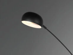 Reality Leuchten Stehleuchte DITO Mehrflammig 5 Arme Metall Schwarz, Höhe 210cm -Heimbeleuchtung Angebote stehleuchte dito mehrflammig 5 arme metall schwarz 5